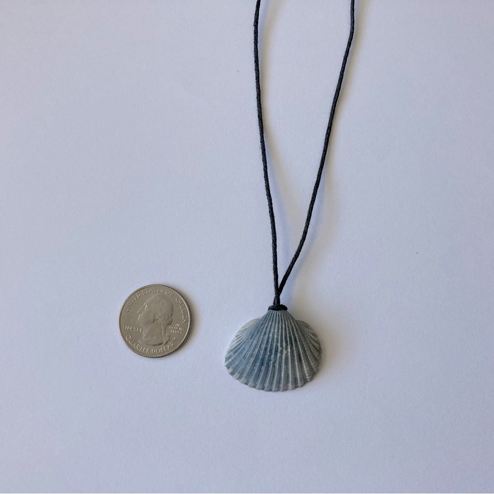 Blue Shell Pendant Necklace with Black Cord